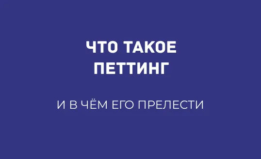 ЧТО ТАКОЕ ПЕТТИНГ
